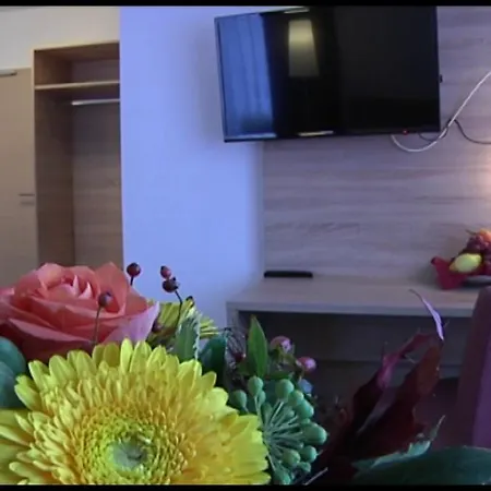 Traube Hotel Aspach